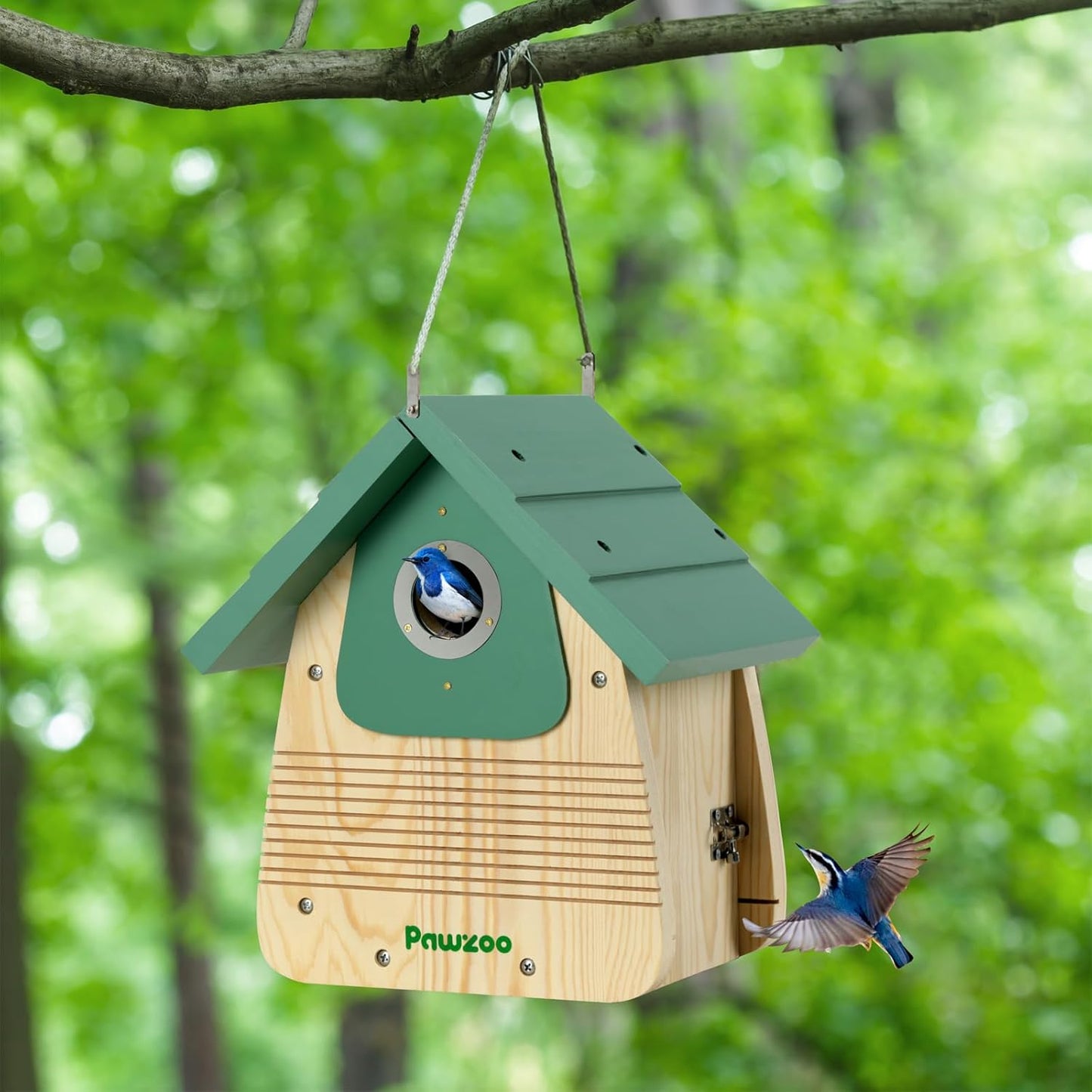 Bird Houses for Outside