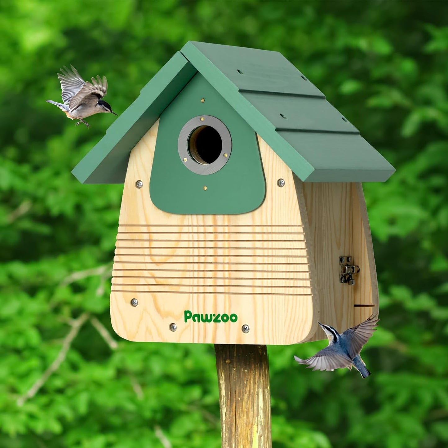 Bird Houses for Outside