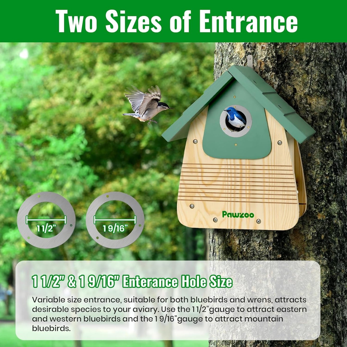 Bird Houses for Outside